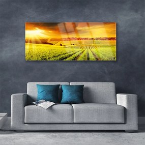 Obraz na akrylátovom skle Pole západ slnka krajina 125x50 cm