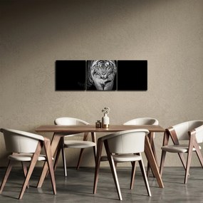 Obraz - Tiger so žltými očami (s hodinami) (90x30 cm)