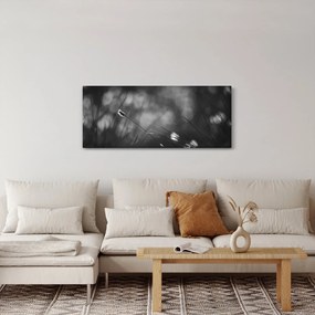 Obraz - Lúčna tráva (120x50 cm)