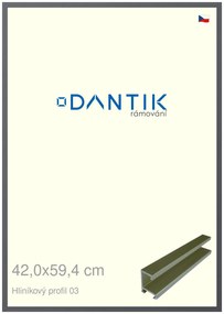 DANTIK rám na obraz 42x59,4 | ALU Platina matná (Plexi Čiré)