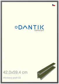 DANTIK rám na obraz 42x59,4 | ALU Platina matná (Plexi Čiré)