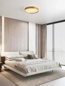 LED stmievateľné zlaté moderné stropné svietidlo Roi 40