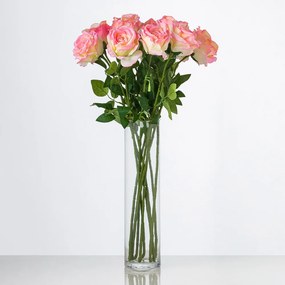 Dlhá zamatová ruža TINA v krémovoružovej farbe. Cena je uvedená za 1 kus.