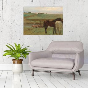 Obraz - Edgar Degas, Horses in a Meadow, reprodukcia (70x50 cm)