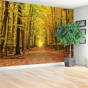 Fototapeta Vliesová Jesenná alej 208x146 cm