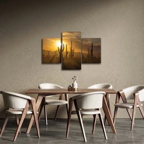Obraz - Kaktusy Saguaro (90x60 cm)