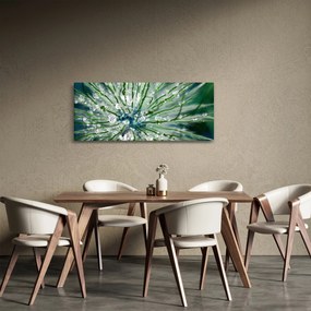 Obraz - Makro snímka kvetu (120x50 cm)