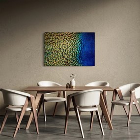 Obraz - Pávie perie (90x60 cm)