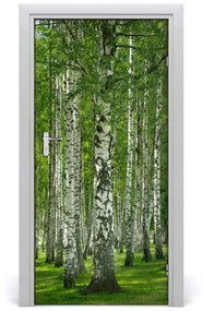 Fototapeta na dvere Břízová les 85x205 cm