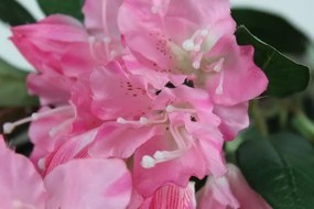 Ružový umelý rododendrón na stonke s listami 79cm