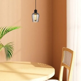 Rabalux 72270 - Luster na lanku FLORIAN 1xE27/40W/230V