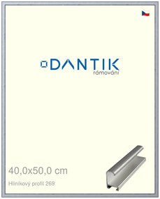 DANTIK rám na obraz 40x50 | ALU Sstříbrná broušená (Plexi Čiré)