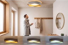LED stmievateľné stropné svietidlo SM. GALAXY M. 24W/230V pr. 55 cm šedá/béžová/zlatá + diaľkové ovládanie