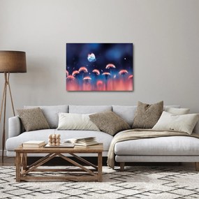 Obraz púpav s modrým motýľom (70x50 cm)