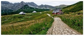 Obraz - Horská krajina s domčekmi (120x50 cm)