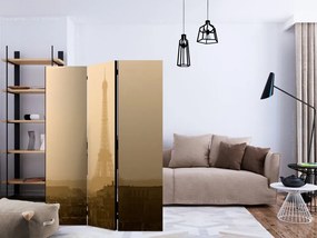 Artgeist Paraván - Paris at Dawn [Room Dividers]