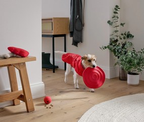 Lietajúci disk pre psy