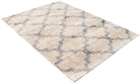Shaggy koberec Versa Veľkosť: 160x230cm