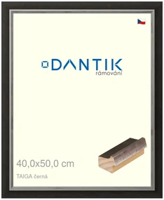 DANTIK rám na obraz 40x50 | TAIGA černá (Sklo Čiré)