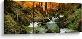 Obraz - Les (s hodinami) (90x30 cm)
