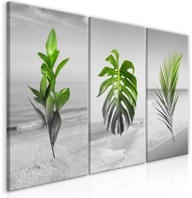 Artgeist Obraz - Plants (Collection) Veľkosť: 60x30, Verzia: Premium Print