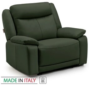 Kožené kreslo CONTINENTAL 1P, zelená (green 321)