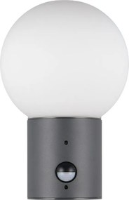 Nástenné vonkajšie svietidlo so senzorom pohybu ø 18 cm Mures – Trio