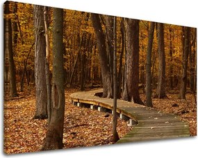 Obraz na stenu STROMY