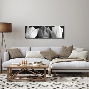 Obraz - Čiernobiele kvety tulipánov (s hodinami) (90x30 cm)