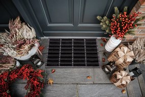 Hanse Home, DOPREDAJ: 40x60 cm Venkovní čistící rohož Mix Mats Brushes 105648 Black - na ven i na doma, 40x60, čierna, exteriér