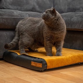 Čierny ortopedický matrac pre psa 70x60 cm Ori L – Rexproduct