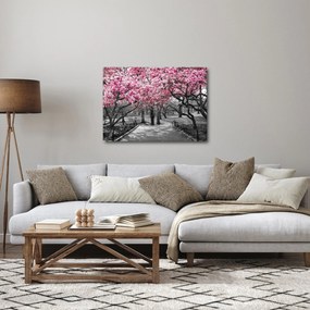 Obraz stromov Magnólie (70x50 cm)