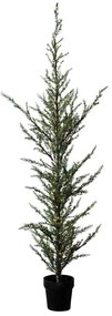 SIRIUS LED světelný stromek v květináči Cedr, 190 cm