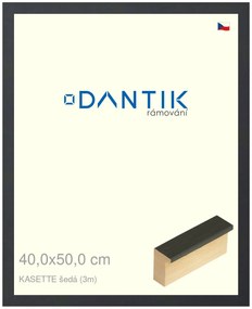DANTIK rám na obraz 40x50 | KASSETTE šedá (Plexi Čiré)