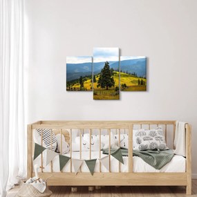Obraz - Horská lúka (90x60 cm)
