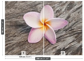 Fototapeta Vliesová Frangipani wood 104x70 cm