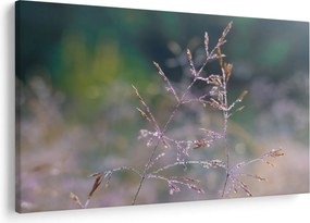 Obraz - Detail traviny (90x60 cm)