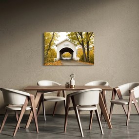 Obraz mosta v Oregone (90x60 cm)