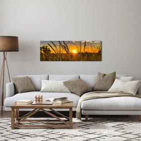 Obraz pole pri západe slnka (s hodinami) (90x30 cm)