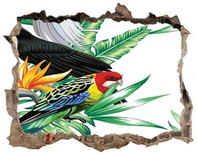 Díra 3D fototapeta nástěnná Tropické vtáky nd-k-82973697