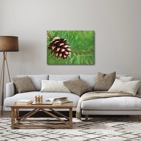 Obraz šišky (70x50 cm)