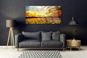 Obraz plexi Pole slnečníc krajina 120x60 cm
