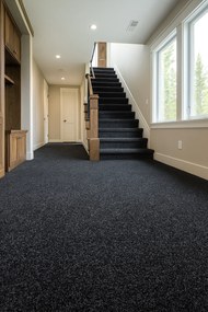 Beaulieu International Group, Koberec metráž Primavera 236, na mieru, šíře 4m, čierna, resine, chodba / predsieň