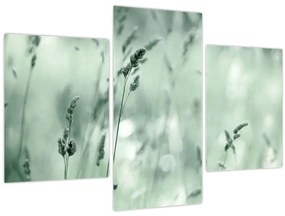 Obraz - Zelená lúka (90x60 cm)