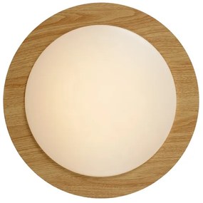 Lucide 79179/12/72 - LED Stropné kúpeľňové svietidlo DIMY LED/12W/230V