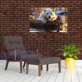 Obraz - Medveď ľadový (90x60 cm)
