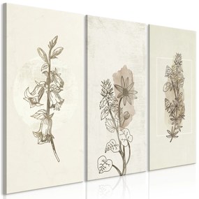 Artgeist Obraz - Herbarium (3 Parts) Veľkosť: 90x60, Verzia: Premium Print