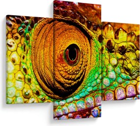 Obraz - Chameleon (90x60 cm)