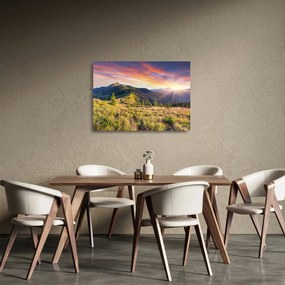 Sklenený obraz - Lesná krajina (70x50 cm)