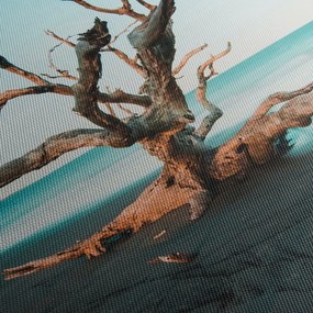 Obraz - Vyplavenie na pláži (120x50 cm)